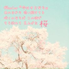 桜color/GReeeeN プリ画像