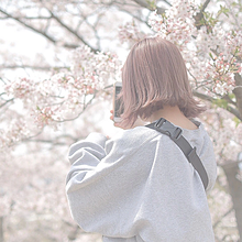 オシャレ 可愛い 桜の画像680点 完全無料画像検索のプリ画像 Bygmo