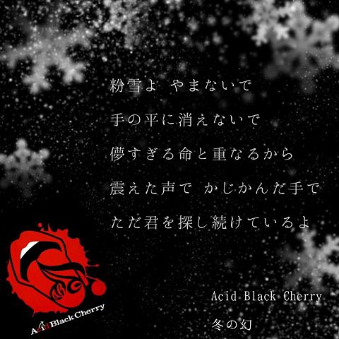 Acid Black Cherry 冬の幻の画像(プリ画像)