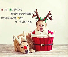 メリークリスマスの画像(ヲタバレ防止に関連した画像)