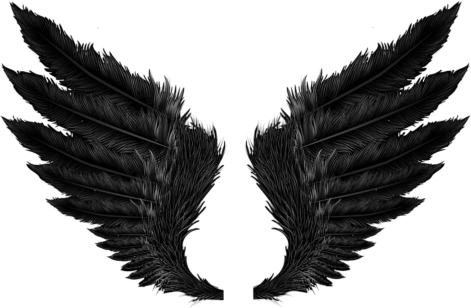 黒い羽 完全無料画像検索のプリ画像 Bygmo