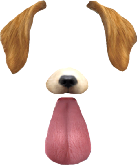 犬 背景透明の画像138点 3ページ目 完全無料画像検索のプリ画像 Bygmo