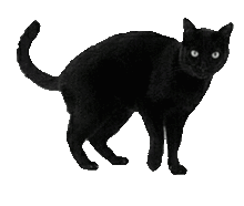 おしゃれ 背景 黒猫の画像7点 完全無料画像検索のプリ画像 Bygmo