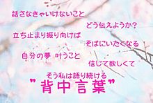 背中言葉(AKB48)歌詞画の画像(総監督に関連した画像)