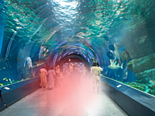 品川　水族館　トンネルの画像(品川に関連した画像)