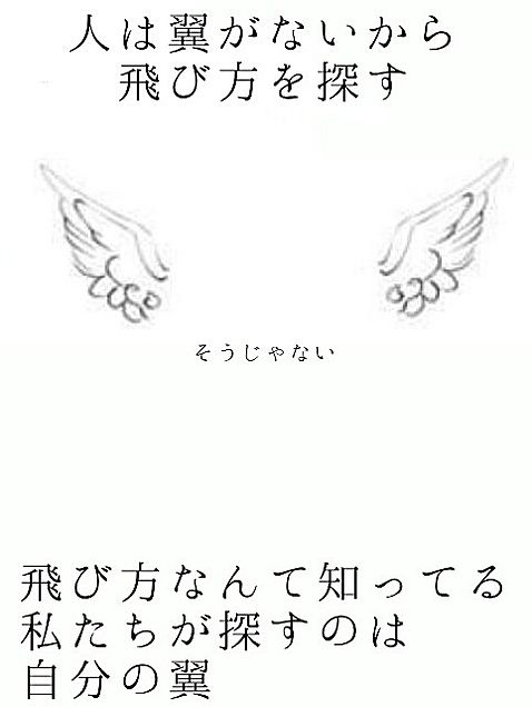wing の画像(プリ画像)