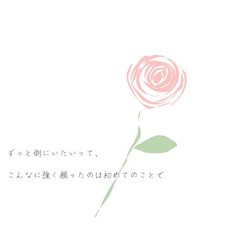 薔薇の花の画像(プリ画像)