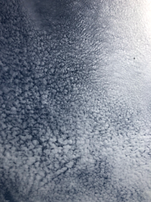 うろこ雲の画像(うろこ雲に関連した画像)