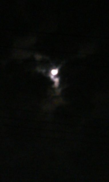 満月の夜の画像(プリ画像)