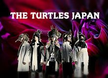 THE TURTLES JAPAN