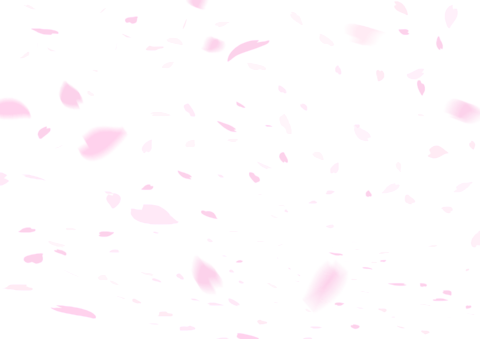     桜の花びら   ( 背景透過 )の画像(プリ画像)