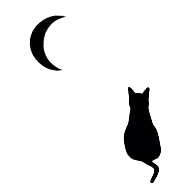 黒猫透過 完全無料画像検索のプリ画像 Bygmo