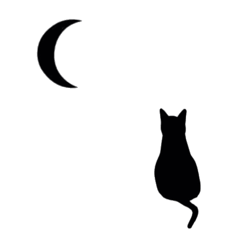 黒猫透過の画像1点 完全無料画像検索のプリ画像 Bygmo
