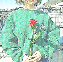 おしゃれ お花 薔薇の画像45点 完全無料画像検索のプリ画像 Bygmo