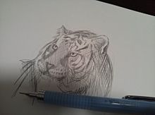 練習の画像(虎 動物に関連した画像)