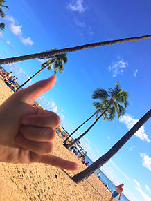 ハワイ ビーチの画像175点 完全無料画像検索のプリ画像 Bygmo