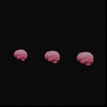 脳 おしゃれの画像18点 完全無料画像検索のプリ画像 Bygmo