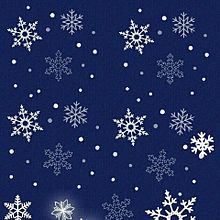 オシャレ 壁紙 雪の画像123点 完全無料画像検索のプリ画像 Bygmo