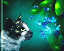 猫と紫陽花💠の画像(サイに関連した画像)