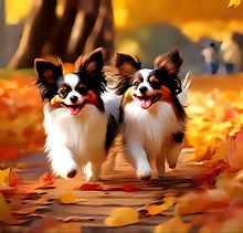 秋🍁/森/パピヨン/犬/かわいい/風景画の画像(犬に関連した画像)