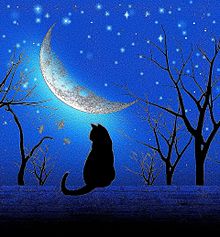 月/三日月/幻想的/猫/シルエット/夜空/星空の画像(猫に関連した画像)
