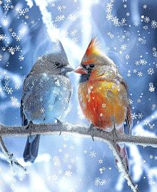 鳥/野鳥/ペア/カップル/冬景色/雪景色の画像(冬に関連した画像)