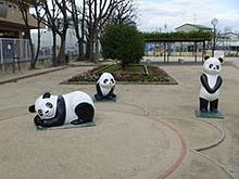 pandasの画像(pandasに関連した画像)