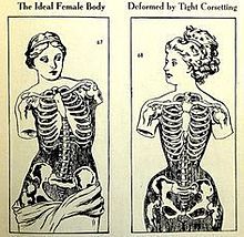 The Ideal Female Bodyの画像(女性の体に関連した画像)