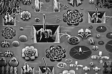 micrographの画像(顕微鏡に関連した画像)