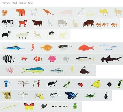 animal-fish-insectの画像 プリ画像