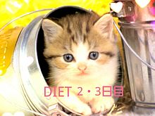 ダイエットの画像(体型に関連した画像)