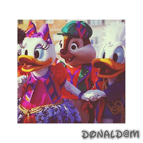 donald&daisy&daleの画像(プリ画像)