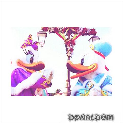 donald&daisy