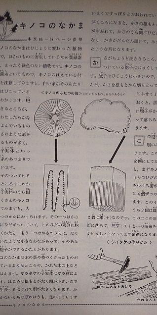 小学館図鑑挿絵×1962年の画像(プリ画像)