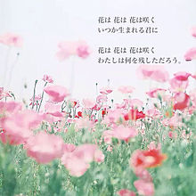 花は咲く 歌詞の画像45点 2ページ目 完全無料画像検索のプリ画像 Bygmo