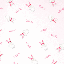 USAGI♡の画像(usagiに関連した画像)