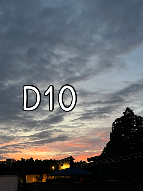 D10の画像 プリ画像