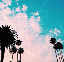 L.A. SKYの画像(旅行 英語に関連した画像)