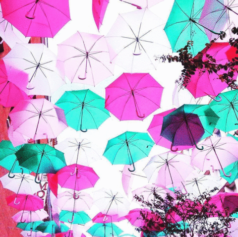 Umbrellaの画像 プリ画像