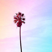 Palm Treeの画像(加工/love/素材/原画/空/風景/夏に関連した画像)