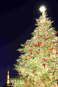クリスマスツリー 壁紙の画像279点 5ページ目 完全無料画像検索のプリ画像 Bygmo