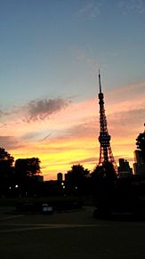 東京タワーの画像(芝公園に関連した画像)