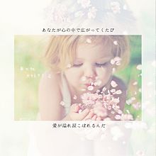 アイノカタチ/MISIAの画像(恋愛 泣けるに関連した画像)