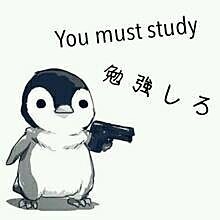 勉強しろ！！ｗｗｗ