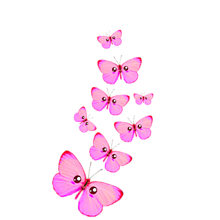 ピンク 背景 蝶の画像47点 完全無料画像検索のプリ画像 Bygmo