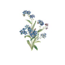 素材 青 花の画像2605点 完全無料画像検索のプリ画像 Bygmo