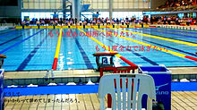 水泳の画像(プールに関連した画像)
