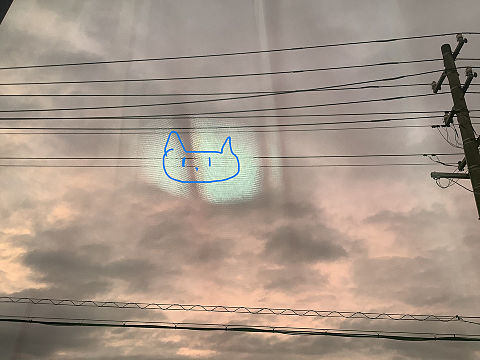 綺麗な空に猫の画像(プリ画像)