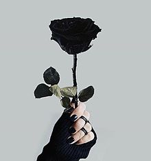 黒 素材の画像(花/風船/ハート/love/韓国/布に関連した画像)