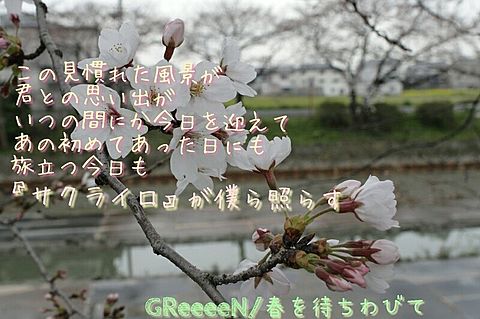 GReeeeN/春を待ちわびての画像(プリ画像)